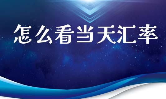 怎么看当天汇率_https://cj004.lansai.wang_外汇交易_第1张