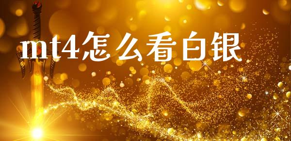 mt4怎么看白银_https://cj004.lansai.wang_期货开户_第1张
