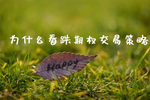 为什么看跌期权交易策略_https://cj004.lansai.wang_债券资讯_第1张