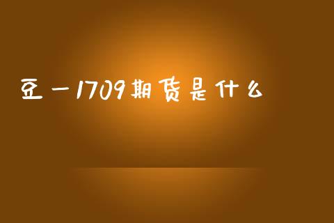 豆一1709期货是什么_https://cj004.lansai.wang_财经新闻_第1张