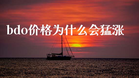 bdo价格为什么会猛涨_https://cj004.lansai.wang_外汇交易_第1张