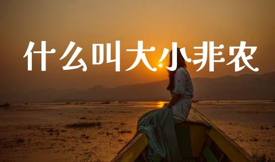 什么叫大小非农_https://cj004.lansai.wang_债券资讯_第1张