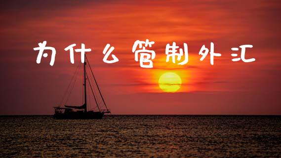 为什么管制外汇_https://cj004.lansai.wang_全球市场_第1张