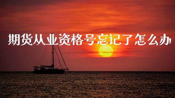 期货从业资格号忘记了怎么办_https://cj004.lansai.wang_金融监管_第1张