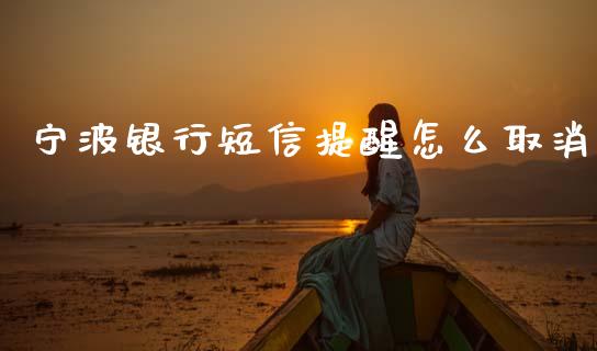 宁波银行短信提醒怎么取消_https://cj004.lansai.wang_金融监管_第1张
