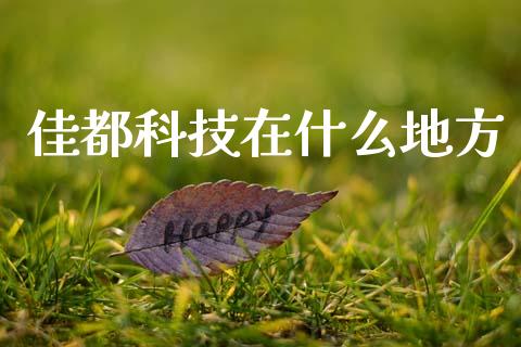 佳都科技在什么地方_https://cj004.lansai.wang_债券资讯_第1张