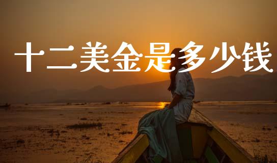 十二美金是多少钱_https://cj004.lansai.wang_金融监管_第1张