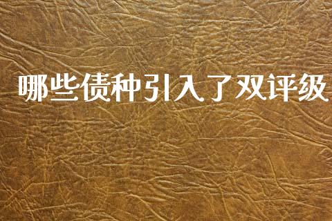 哪些债种引入了双评级_https://cj004.lansai.wang_全球市场_第1张