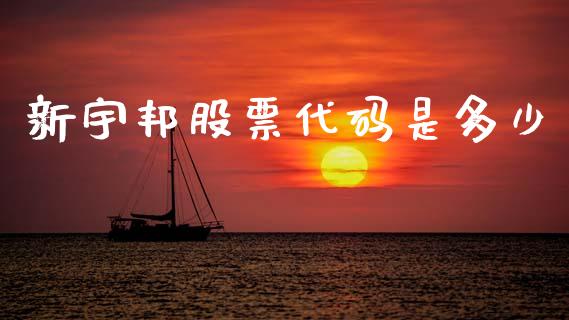 新宇邦股票代码是多少_https://cj004.lansai.wang_外汇交易_第1张