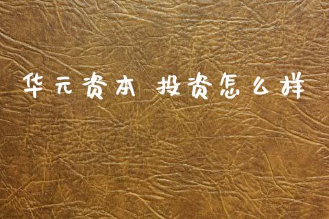 华元资本 投资怎么样_https://cj004.lansai.wang_财经新闻_第1张