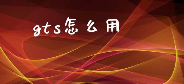 gts怎么用_https://cj004.lansai.wang_金融监管_第1张