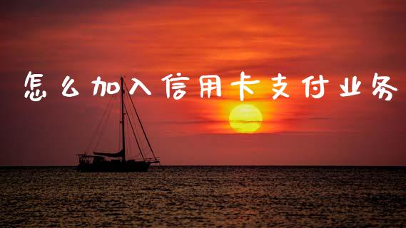 怎么加入信用卡支付业务_https://cj004.lansai.wang_债券资讯_第1张