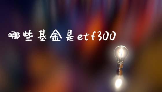 哪些基金是etf300_财经新闻_第1张_期货开户_金融监管_外汇交易_债券资讯_全球市场_财经新闻 哪些基金是etf300_https://cj004.lansai.wang_财经新闻_第1张
