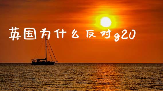 英国为什么反对g20_https://cj004.lansai.wang_金融监管_第1张