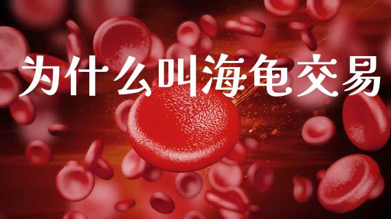 为什么叫海龟交易_期货开户_第1张_期货开户_金融监管_外汇交易_债券资讯_全球市场_财经新闻 为什么叫海龟交易_https://cj004.lansai.wang_期货开户_第1张