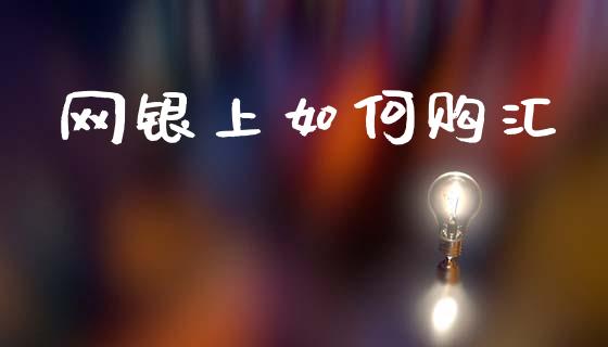 网银上如何购汇_https://cj004.lansai.wang_金融监管_第1张