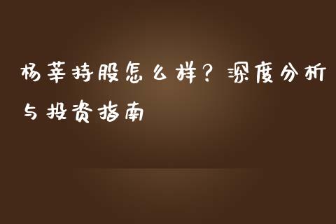 杨莘持股怎么样？深度分析与投资指南_https://cj004.lansai.wang_财经新闻_第1张