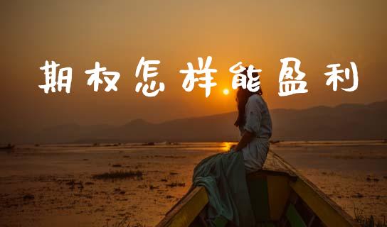 期权怎样能盈利_https://cj004.lansai.wang_外汇交易_第1张