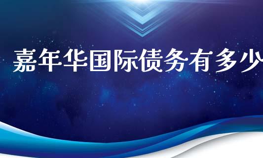 嘉年华国际债务有多少_https://cj004.lansai.wang_金融监管_第1张