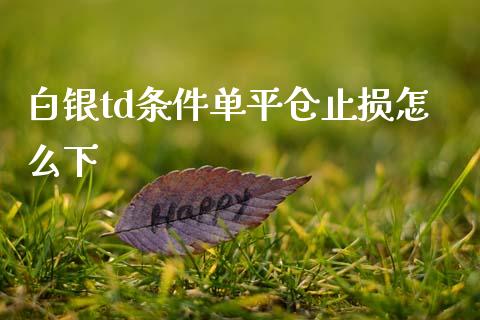 白银td条件单平仓止损怎么下_https://cj004.lansai.wang_债券资讯_第1张
