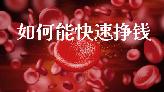 如何能快速挣钱_https://cj004.lansai.wang_债券资讯_第1张