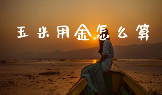 玉米用金怎么算_https://cj004.lansai.wang_债券资讯_第1张