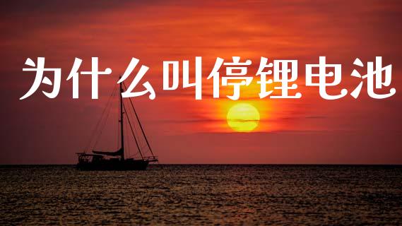 为什么叫停锂电池_https://cj004.lansai.wang_财经新闻_第1张