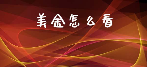 美金怎么看_https://cj004.lansai.wang_债券资讯_第1张