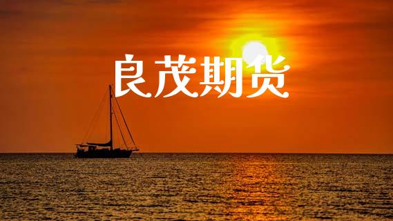 良茂期货_https://cj004.lansai.wang_全球市场_第1张