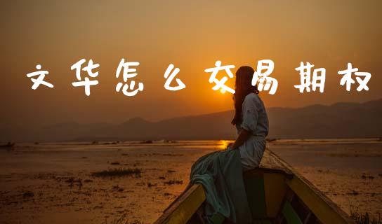 文华怎么交易期权_https://cj004.lansai.wang_外汇交易_第1张