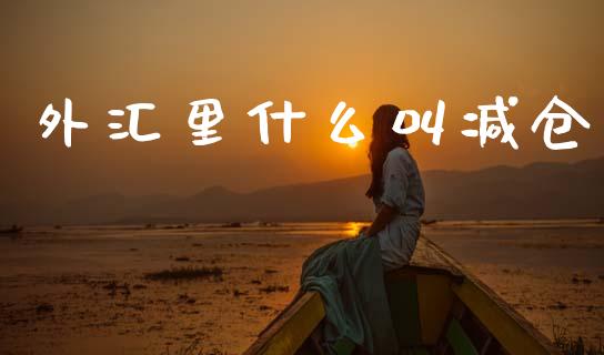 外汇里什么叫减仓_https://cj004.lansai.wang_债券资讯_第1张