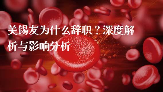 关锡友为什么辞职？深度解析与影响分析_https://cj004.lansai.wang_金融监管_第1张
