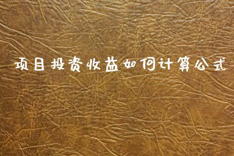 项目投资收益如何计算公式_https://cj004.lansai.wang_金融监管_第1张