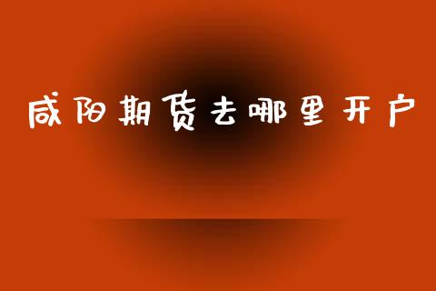 咸阳期货去哪里开户_https://cj004.lansai.wang_金融监管_第1张