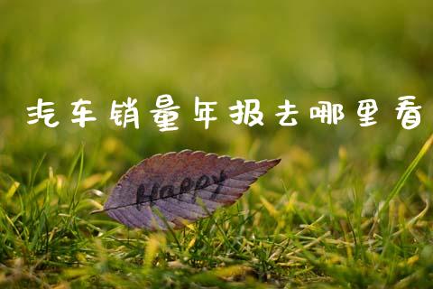 汽车销量年报去哪里看_https://cj004.lansai.wang_外汇交易_第1张