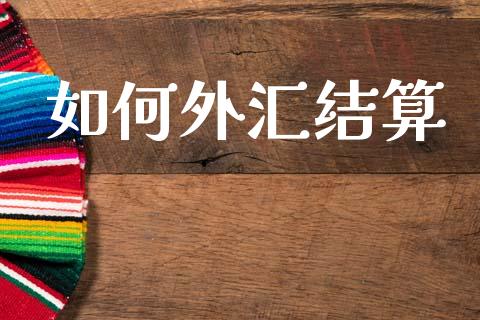 如何外汇结算_https://cj004.lansai.wang_债券资讯_第1张