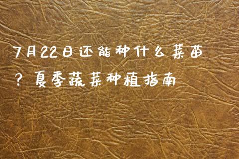 7月22日还能种什么菜苗？夏季蔬菜种植指南_https://cj004.lansai.wang_全球市场_第1张