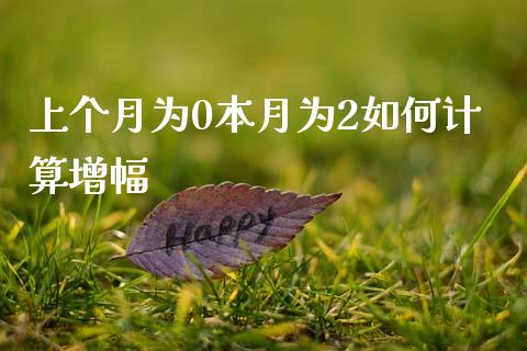 上个月为0本月为2如何计算增幅_https://cj004.lansai.wang_外汇交易_第1张