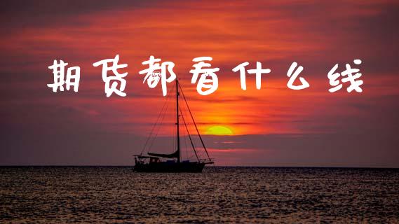 期货都看什么线_https://cj004.lansai.wang_债券资讯_第1张