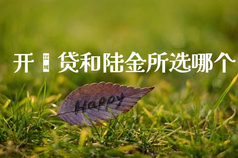 开鑫贷和陆金所选哪个_https://cj004.lansai.wang_外汇交易_第1张