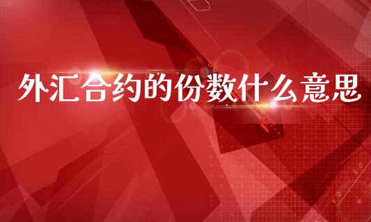 外汇合约的份数什么意思_https://cj004.lansai.wang_债券资讯_第1张