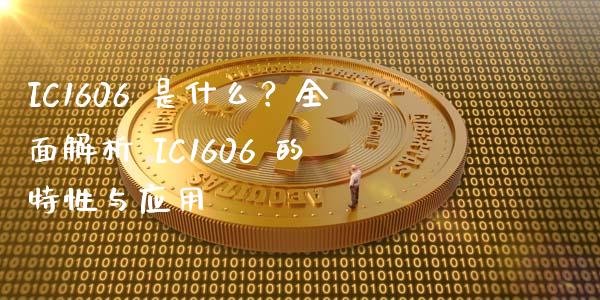 IC1606 是什么？全面解析 IC1606 的特性与应用_https://cj004.lansai.wang_全球市场_第1张
