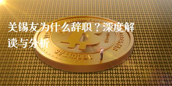 关锡友为什么辞职？深度解读与分析_https://cj004.lansai.wang_金融监管_第1张