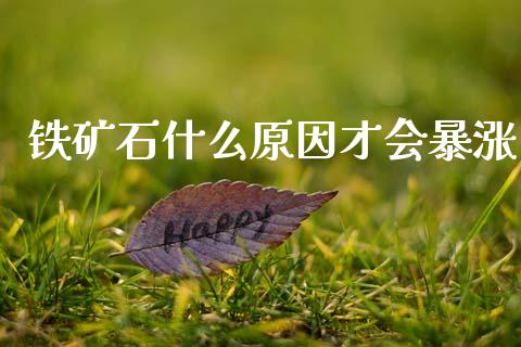 铁矿石什么原因才会暴涨_https://cj004.lansai.wang_债券资讯_第1张