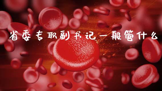 省委专职副书记一般管什么_https://cj004.lansai.wang_债券资讯_第1张