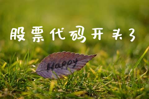 股票代码开头3_https://cj004.lansai.wang_财经新闻_第1张