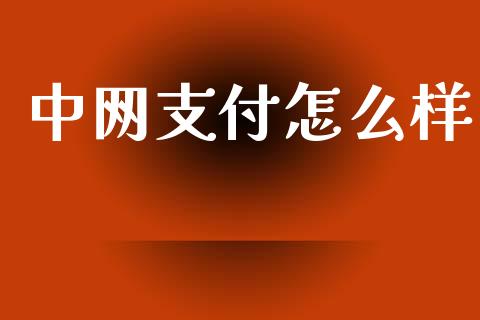 中网支付怎么样_https://cj004.lansai.wang_期货开户_第1张