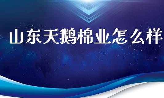 山东天鹅棉业怎么样_https://cj004.lansai.wang_金融监管_第1张