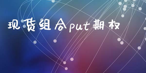 现货组合put期权_https://cj004.lansai.wang_金融监管_第1张