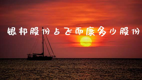 银邦股份占飞而康多少股份_https://cj004.lansai.wang_外汇交易_第1张